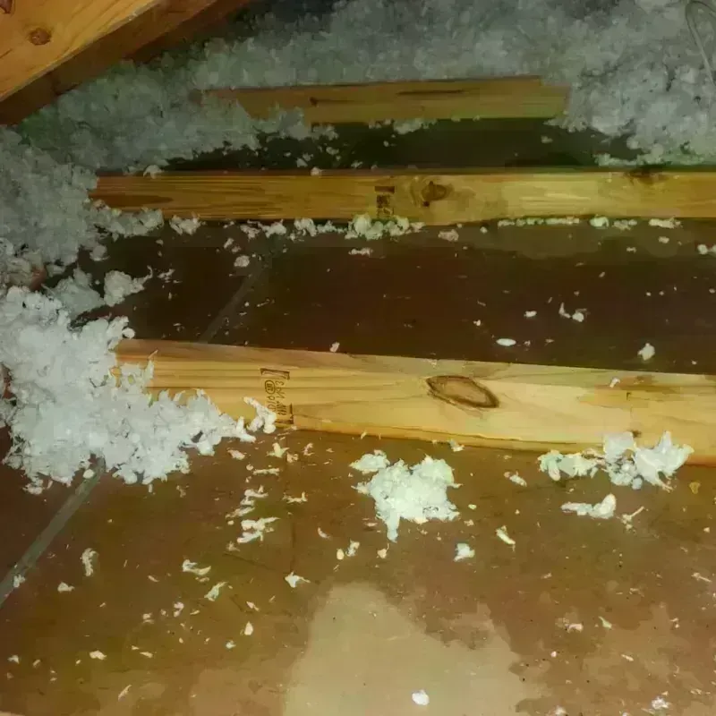 Attic Water Damage in Devola, OH